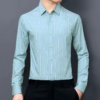 Cotton Professional Formal Young Middle-aged Knitted No-Iron Casual Striped Shirt Long Sleeves - Image 4
